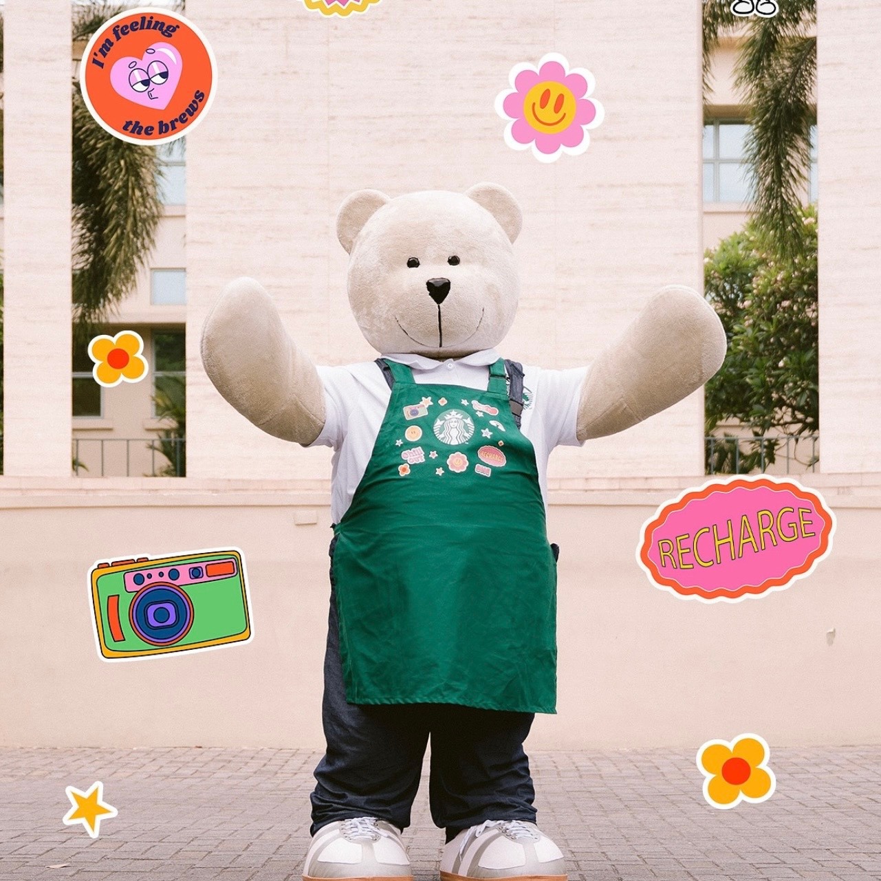 Starbucks bearista mascot display
